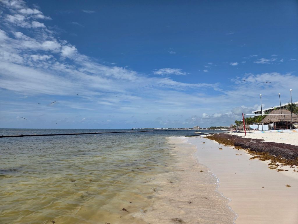 We Went Back to Desire. This Time, Riviera&nbsp;Maya!